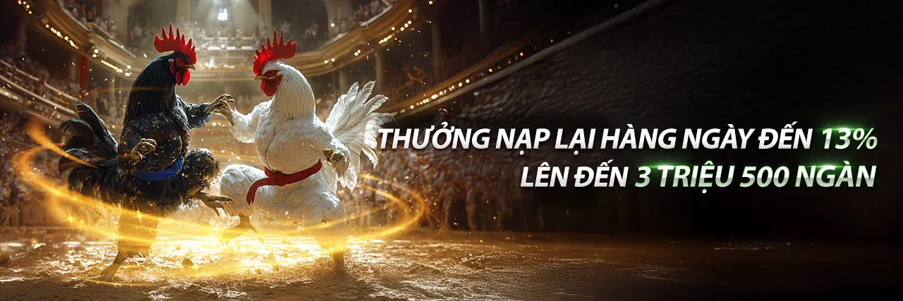 Sân đấu đá gà trực tuyến JB88 đầy kịch tính